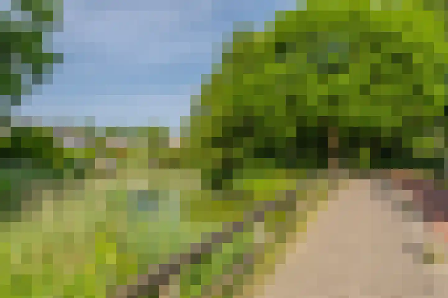 Panheelstraat 42 Arnhem thumbnail 34