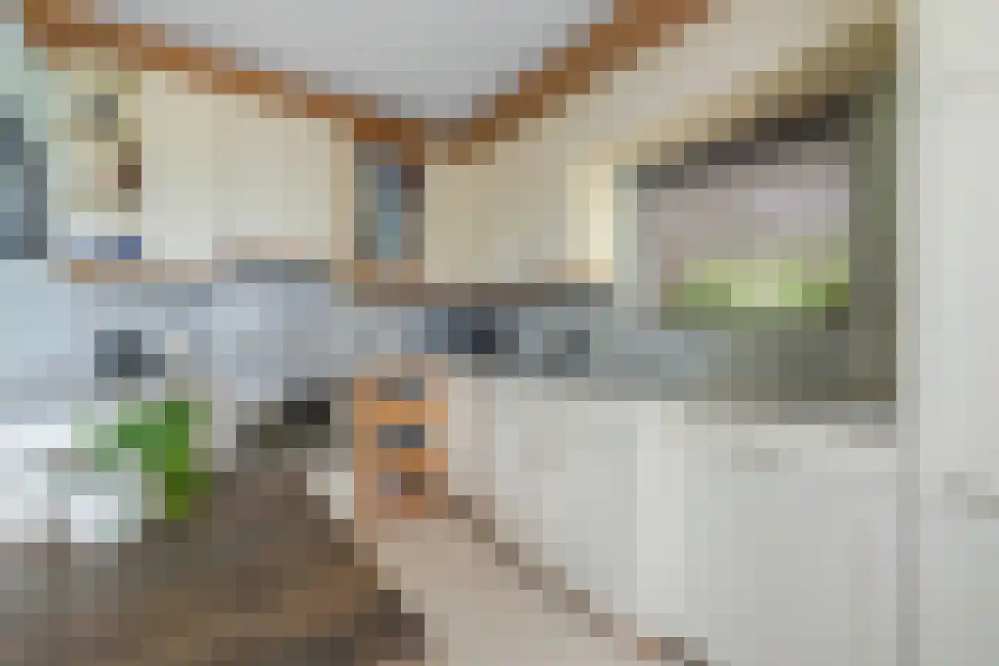 Panheelstraat 42 Arnhem thumbnail 8