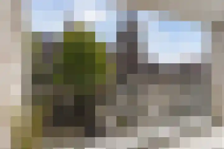 Panhuijsenpad 141 Tilburg thumbnail 16