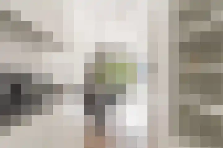 Panhuijsenpad 141 Tilburg thumbnail 7