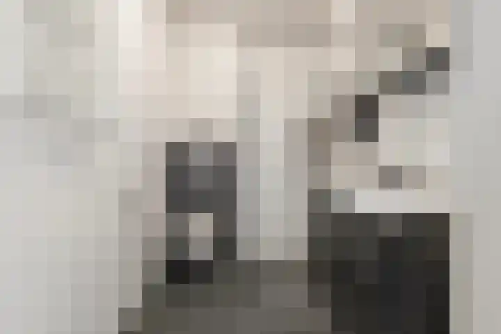 Panhuijsenpad 143 Tilburg thumbnail 15