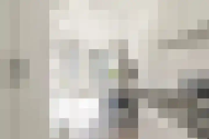 Panhuijsenpad 143 Tilburg thumbnail 5