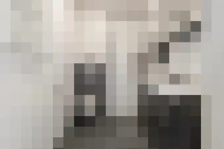 Panhuijsenpad 25 Tilburg thumbnail 14