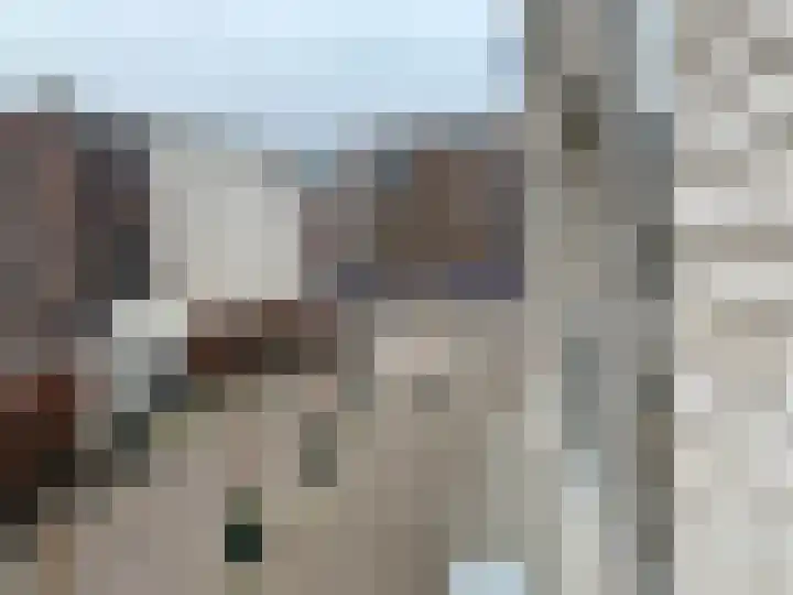 Panhuijsenpad 25 Tilburg thumbnail 19