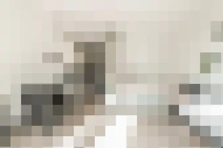 Panhuijsenpad 27 Tilburg thumbnail 7