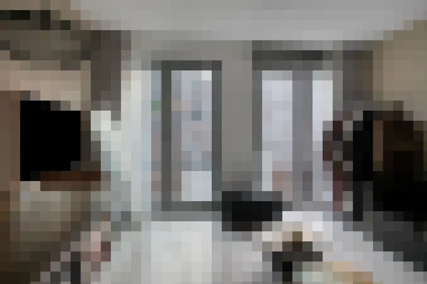 Panhuijsenpad 33 Tilburg thumbnail 11