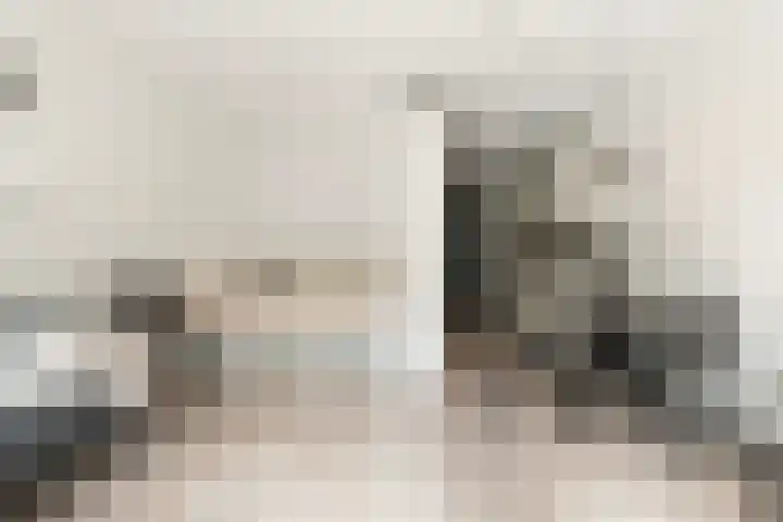 Panhuijsenpad 39 Tilburg thumbnail 10