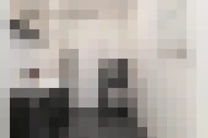 Panhuijsenpad 39 Tilburg thumbnail 13