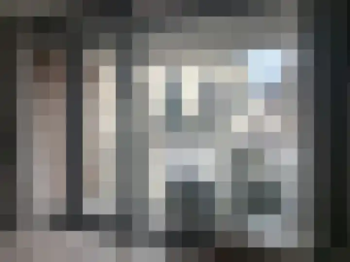 Panhuijsenpad 39 Tilburg thumbnail 18