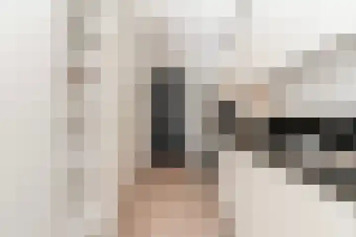Panhuijsenpad 39 Tilburg thumbnail 4
