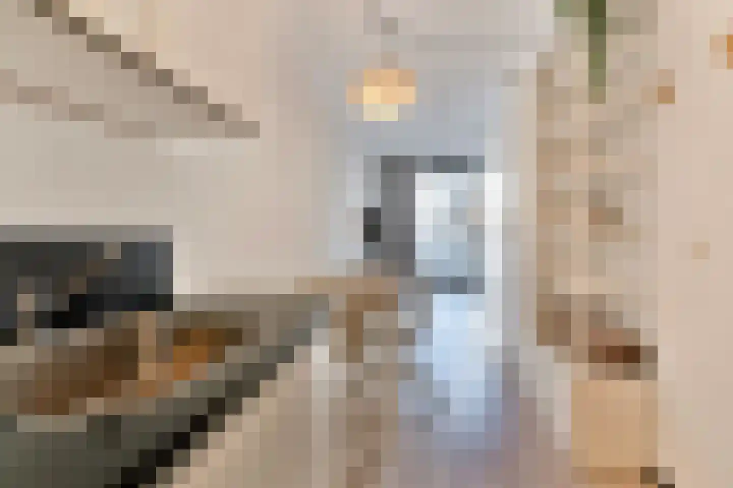 Panhuijsenpad 43 Tilburg thumbnail 11