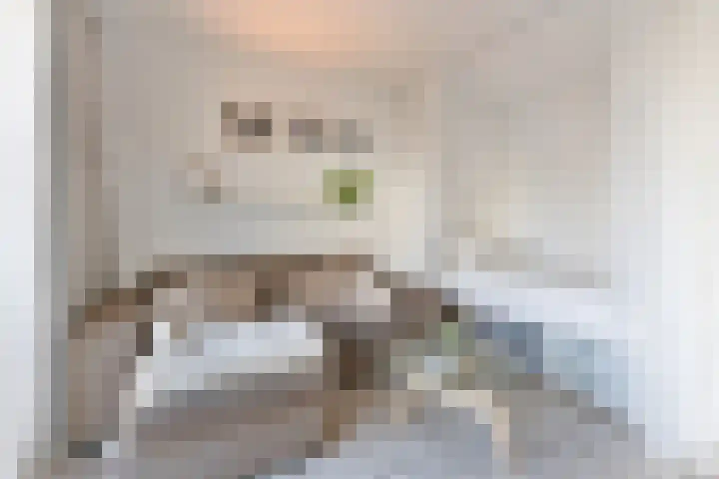 Panhuijsenpad 43 Tilburg thumbnail 5