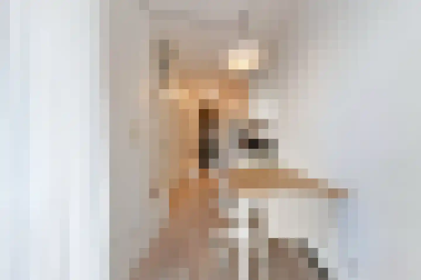 Panhuijsenpad 43 Tilburg thumbnail 9