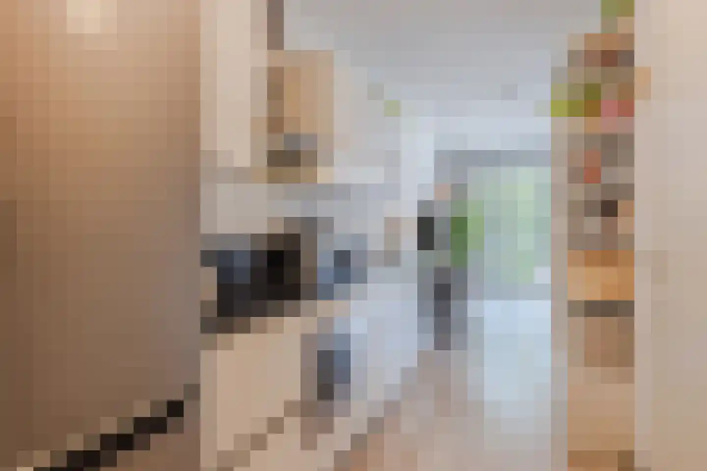 Panhuijsenpad 51 Tilburg thumbnail 11