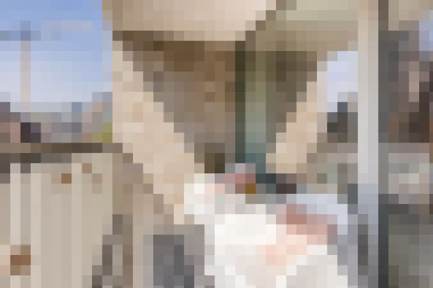 Panhuijsenpad 51 Tilburg thumbnail 15