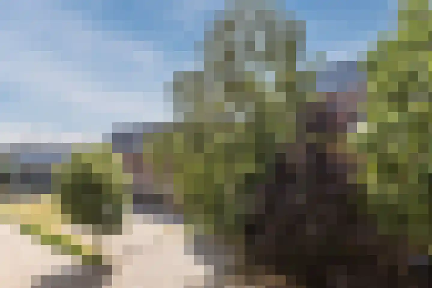 Panhuijsenpad 51 Tilburg thumbnail 18