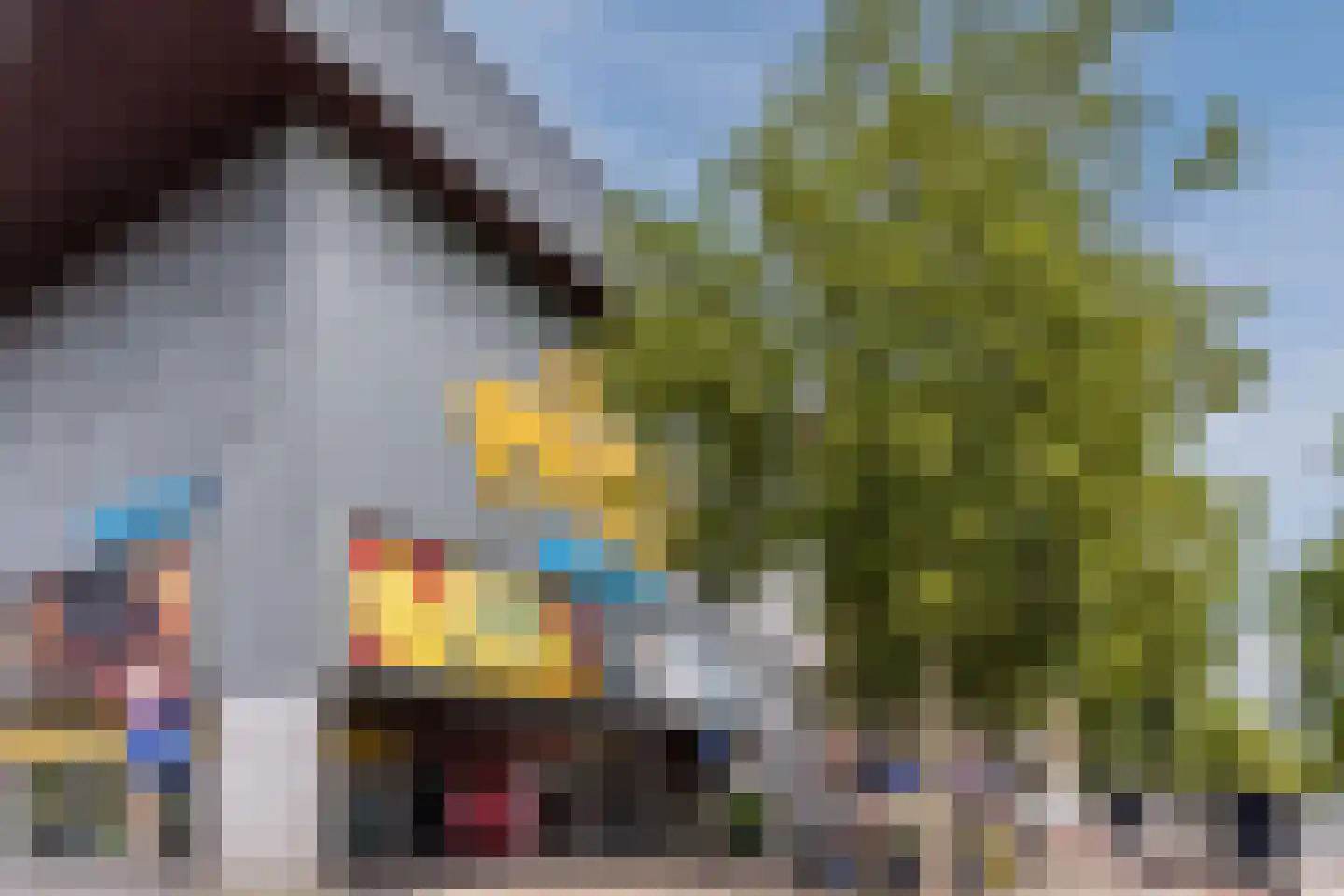 Panhuijsenpad 51 Tilburg thumbnail 25