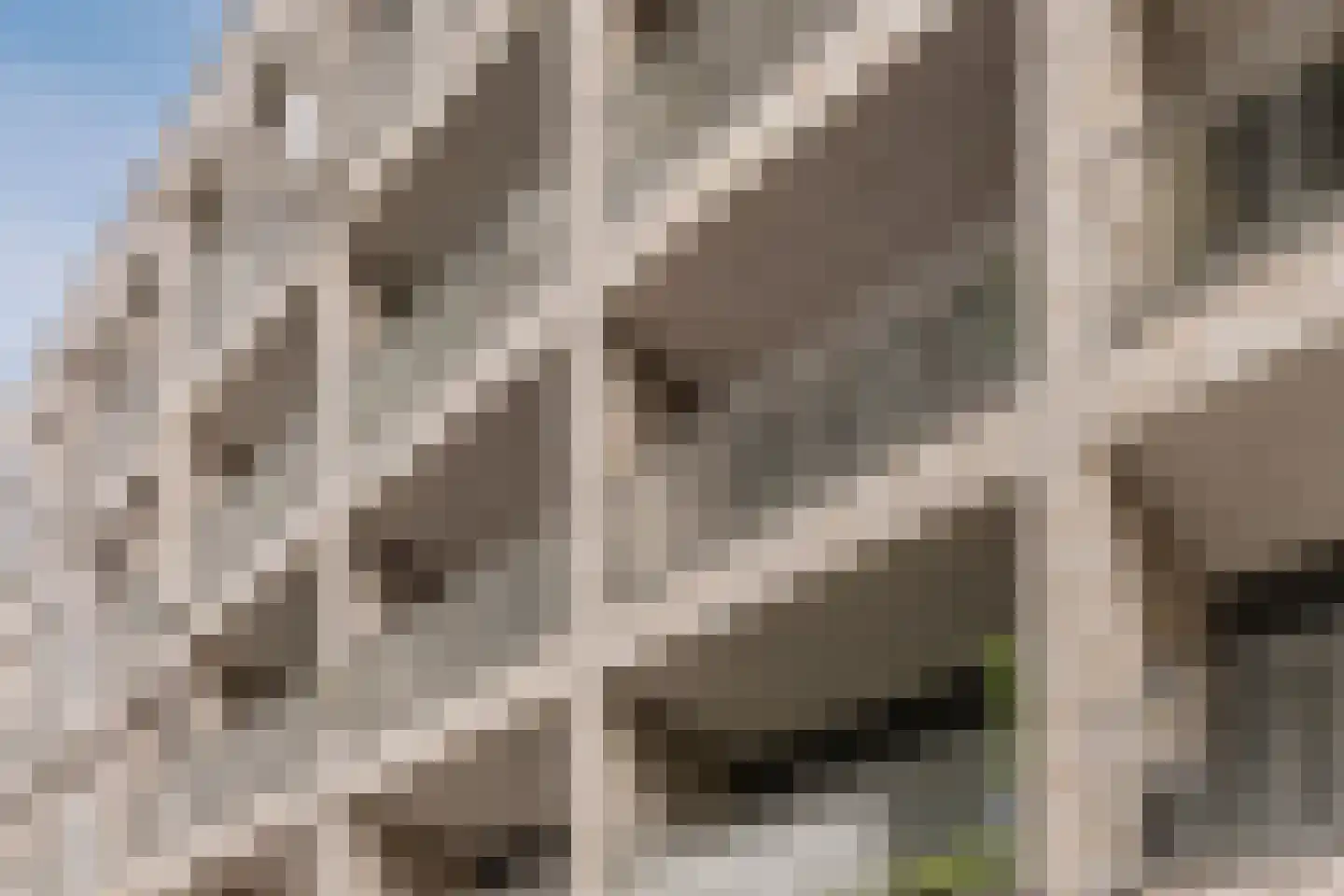Panhuijsenpad 51 Tilburg thumbnail 27