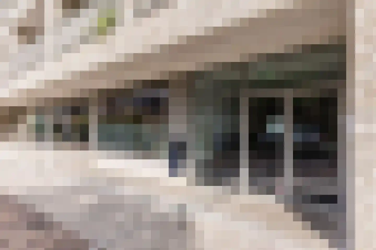 Panhuijsenpad 51 Tilburg thumbnail 28