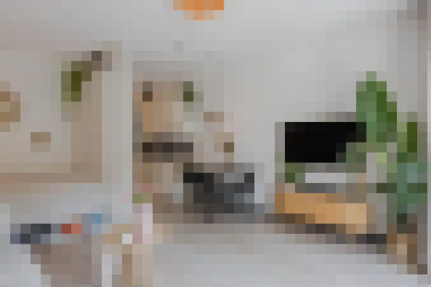 Panhuijsenpad 51 Tilburg thumbnail 8