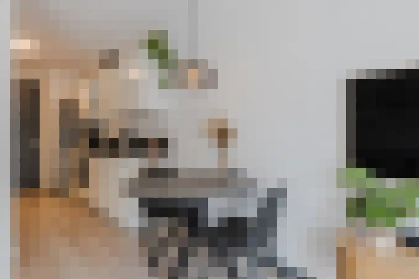 Panhuijsenpad 51 Tilburg thumbnail 9