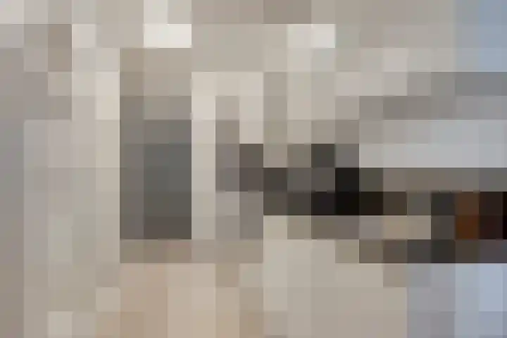 Panhuijsenpad 55 Tilburg thumbnail 16