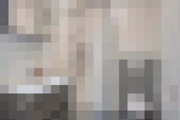Panhuijsenpad 55 Tilburg thumbnail 18