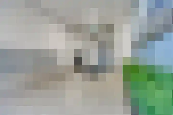 Panhuijsenpad 55 Tilburg thumbnail 9