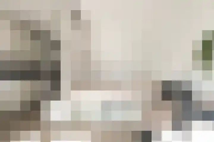 Panhuijsenpad 59 Tilburg thumbnail 8