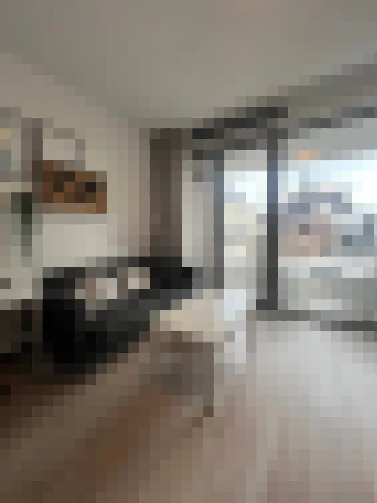 Panhuijsenpad 75 Tilburg thumbnail 6