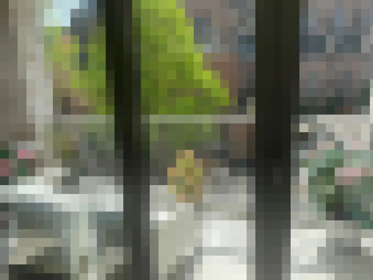 Panhuijsenpad 89 Tilburg thumbnail 12