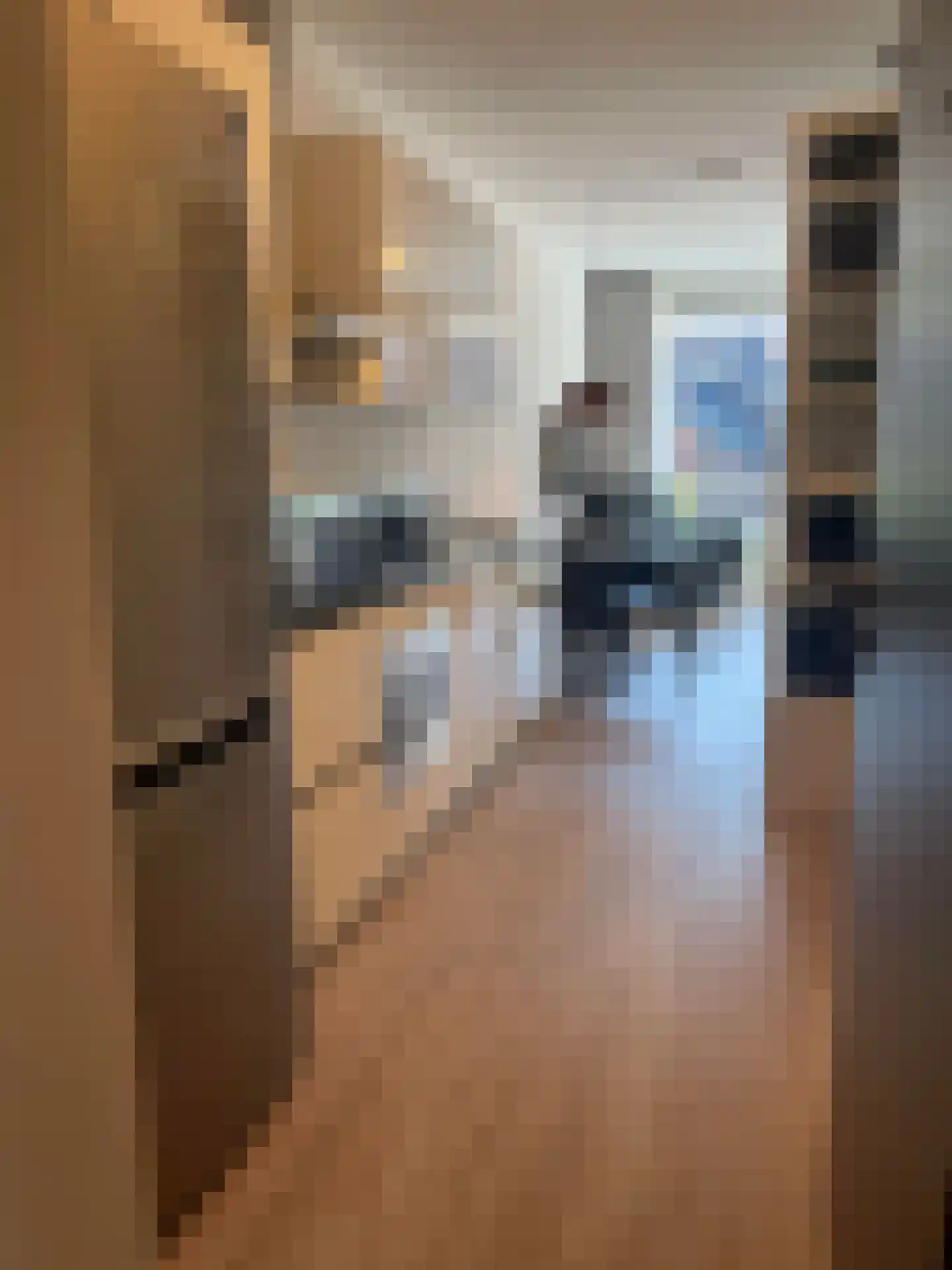 Panhuijsenpad 89 Tilburg thumbnail 16