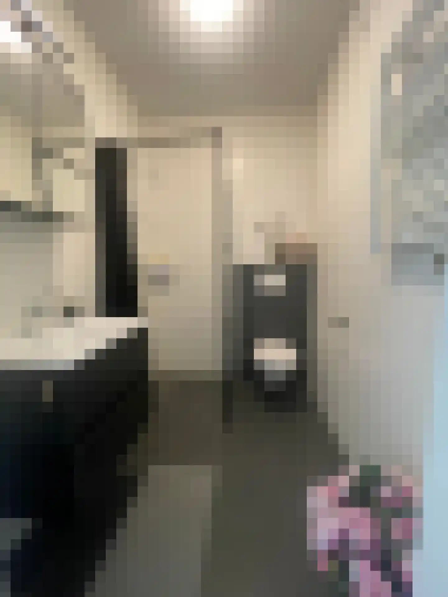 Panhuijsenpad 89 Tilburg thumbnail 18