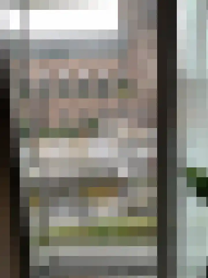 Panhuijsenpad 97 Tilburg thumbnail 19