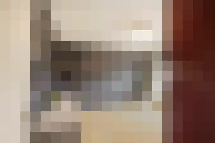 Panhuis 1 A Veenendaal thumbnail 13