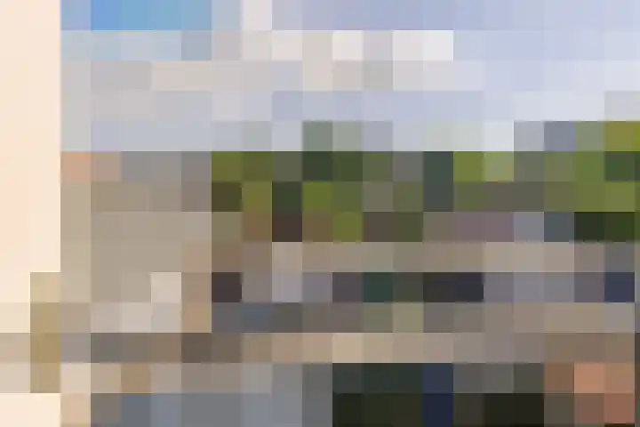 Panhuis 1 A Veenendaal thumbnail 15