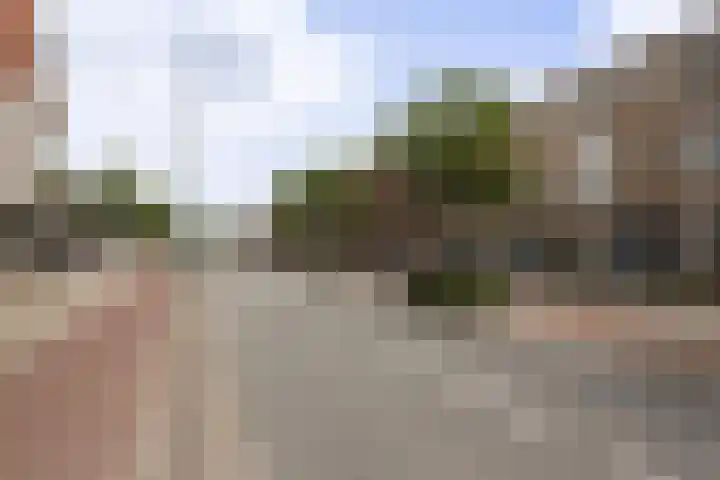Panhuis 1 A Veenendaal thumbnail 20