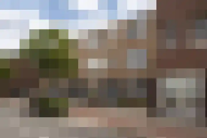 Panhuis 1 A Veenendaal thumbnail 21