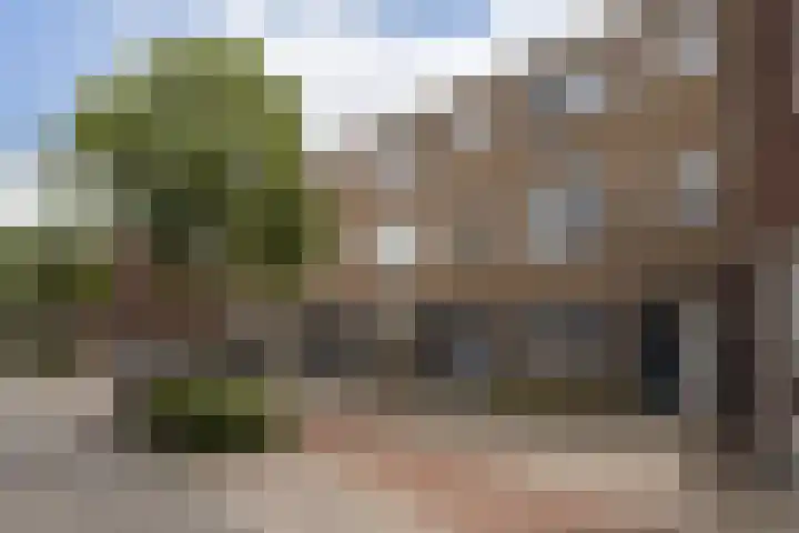 Panhuis 1 A Veenendaal thumbnail 22
