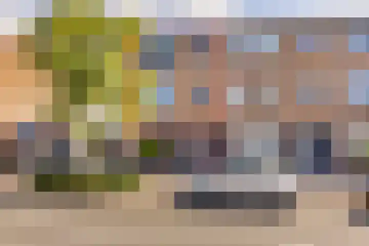 Panhuis 1 A Veenendaal thumbnail 28