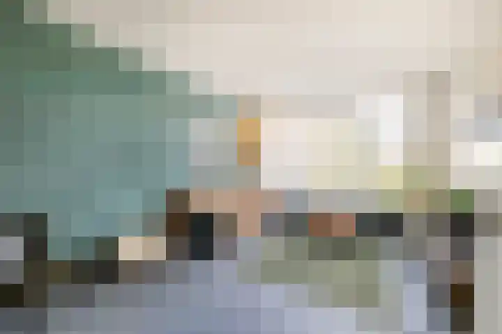 Panhuis 1 A Veenendaal thumbnail 4