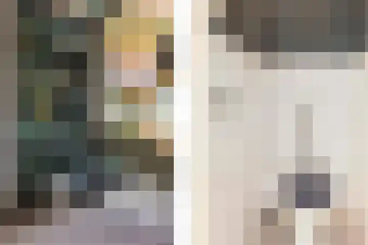 Panhuis 1 A Veenendaal thumbnail 8