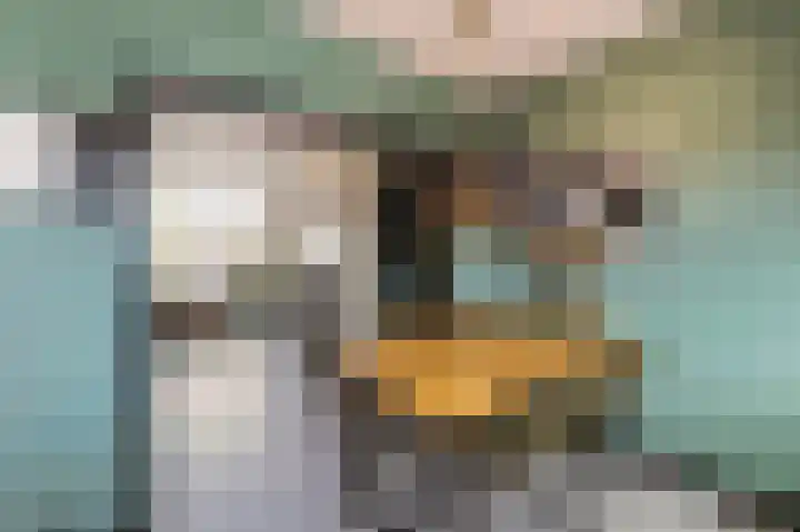 Panhuis 1 A Veenendaal thumbnail 9