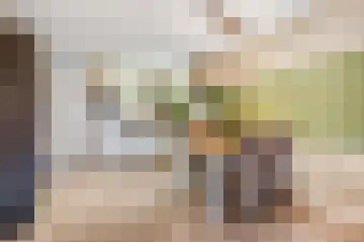 Panhuis 2 Veenendaal thumbnail 10