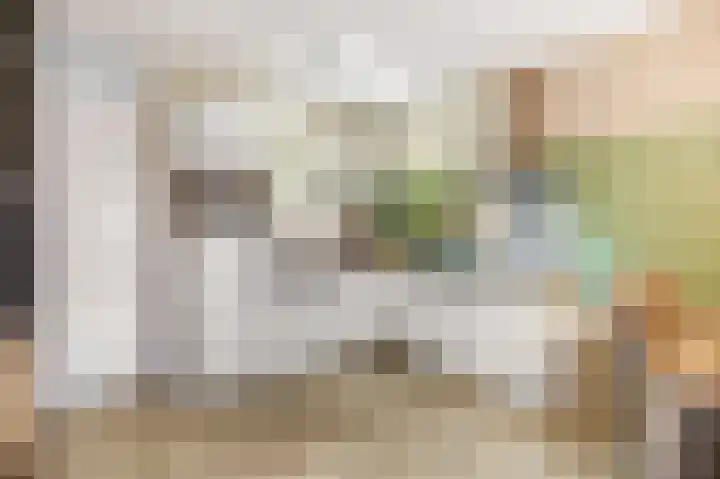 Panhuis 2 Veenendaal thumbnail 11