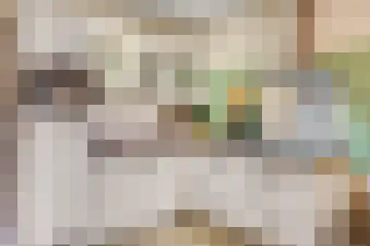 Panhuis 2 Veenendaal thumbnail 12
