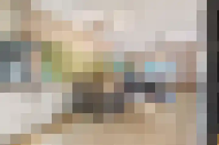 Panhuis 2 Veenendaal thumbnail 13