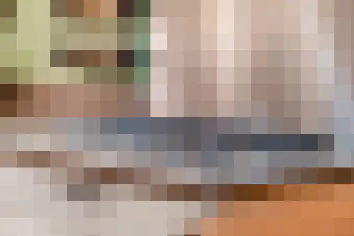 Panhuis 2 Veenendaal thumbnail 15