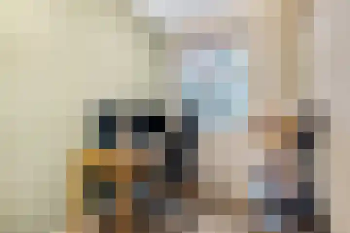 Panhuis 2 Veenendaal thumbnail 20