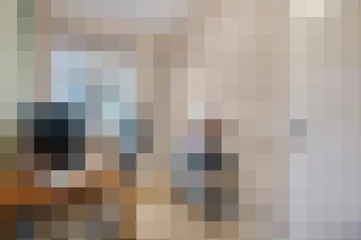 Panhuis 2 Veenendaal thumbnail 21